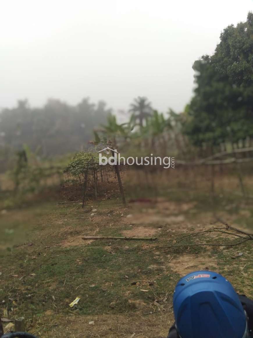 Urgent Land Sell @ Gazipur Union, Sheepur, Residential Plot at Gazipur Sadar