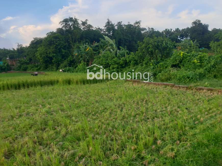 Nandura (31 decimal), Commercial Plot at Ashulia