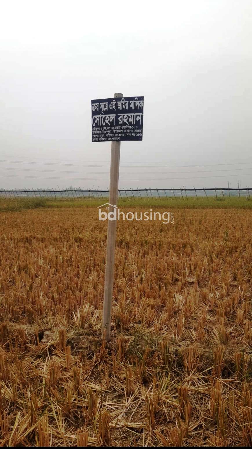 Shohel Rahman, Agriculture/Farm Land at Savar