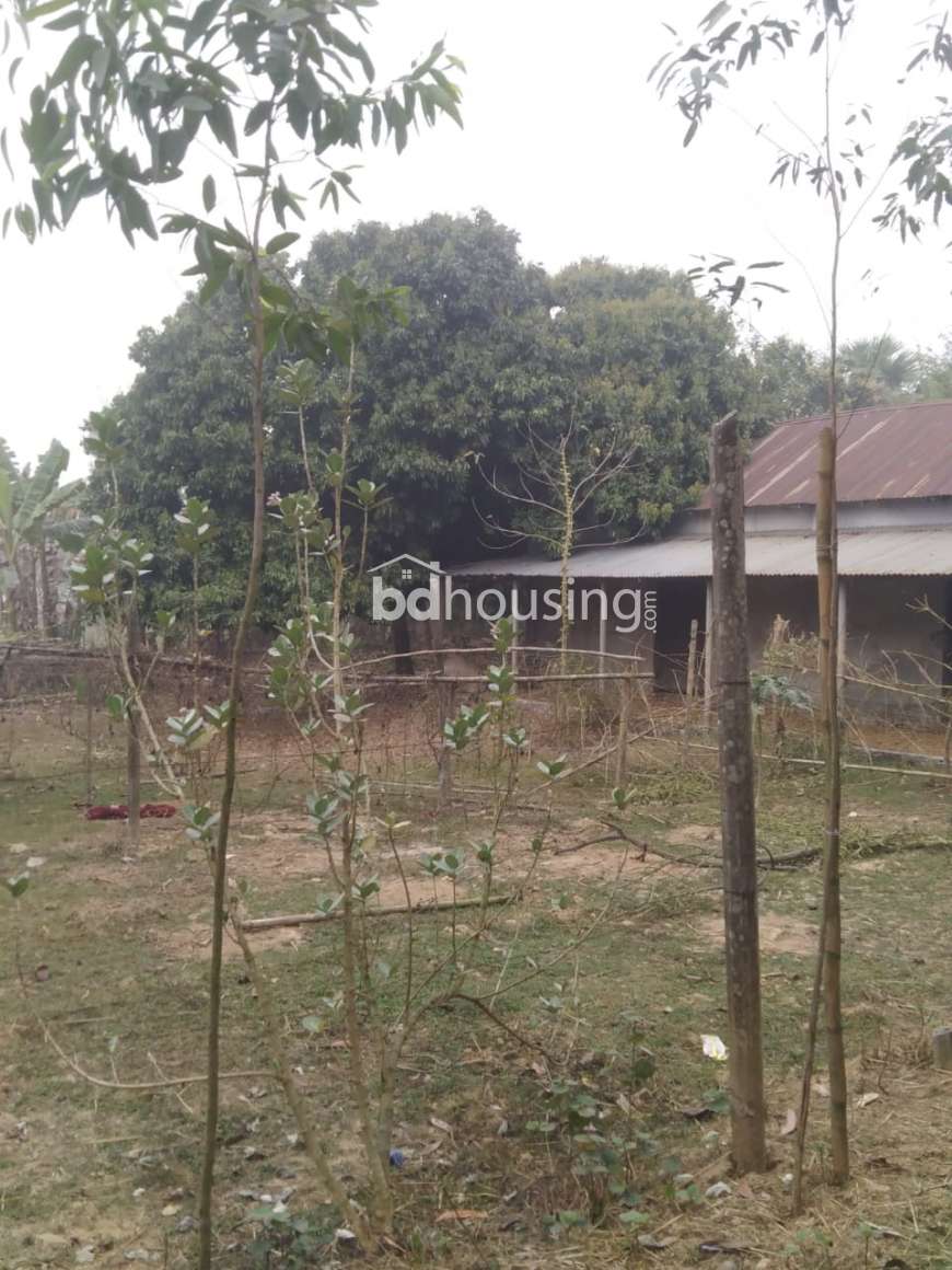 Urgent Land Sell @Niz Maona, Shreepur, Gazipur’, Agriculture/Farm Land at Kaliakoir