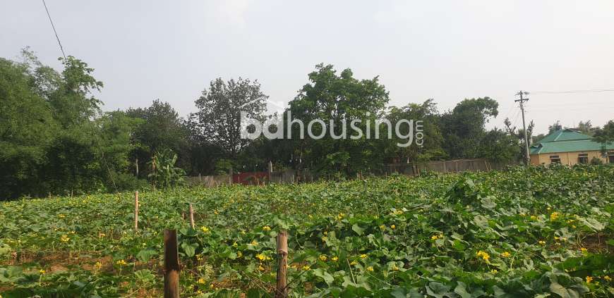 land for sale by road 166 decimal, Commercial Plot at Konabari