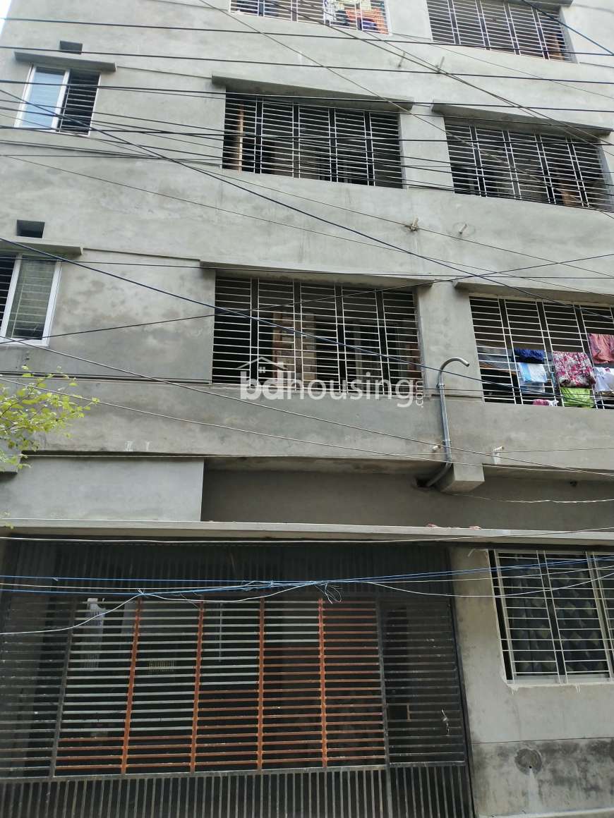 Rose, Apartment/Flats at Mirpur 1