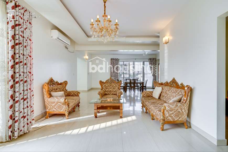 Full-furnished, Apartment/Flats at Baridhara