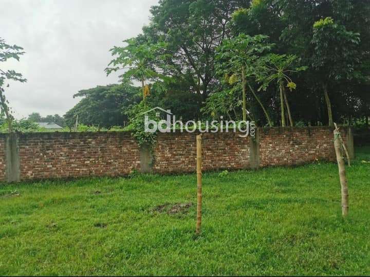 Chayabithi, Residential Plot at Purbachal