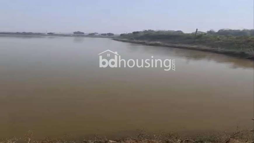 100 Bigha Farm Land and 24.5 Bugha Pond For Sell in Rajshahi Godagari, Agriculture/Farm Land at Sagor Para