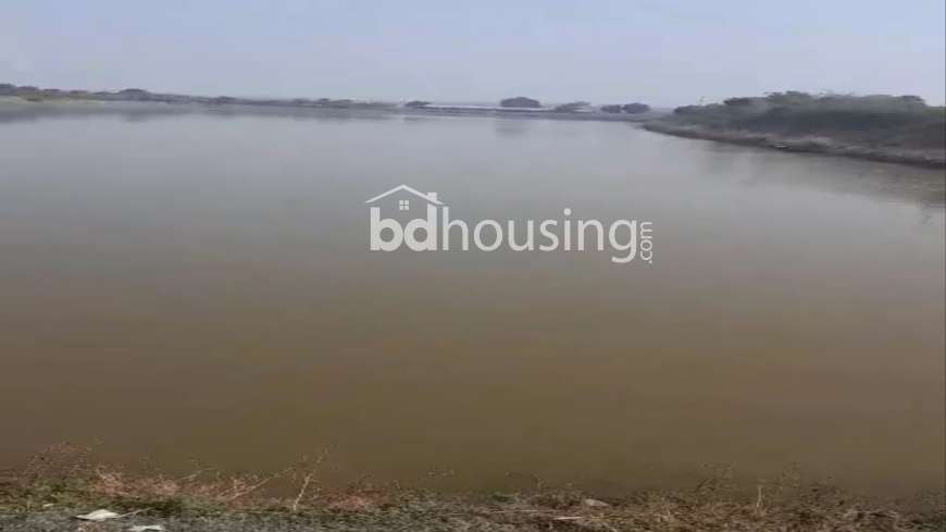 100 Bigha Farm Land and 24.5 Bugha Pond For Sell in Rajshahi Godagari, Agriculture/Farm Land at Sagor Para