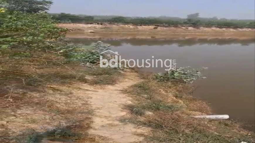 100 Bigha Farm Land and 24.5 Bugha Pond For Sell in Rajshahi Godagari, Agriculture/Farm Land at Sagor Para