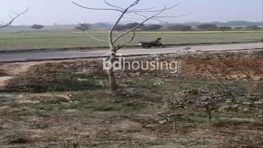 100 Bigha Farm Land and 24.5 Bugha Pond For Sell in Rajshahi Godagari, Agriculture/Farm Land at Sagor Para