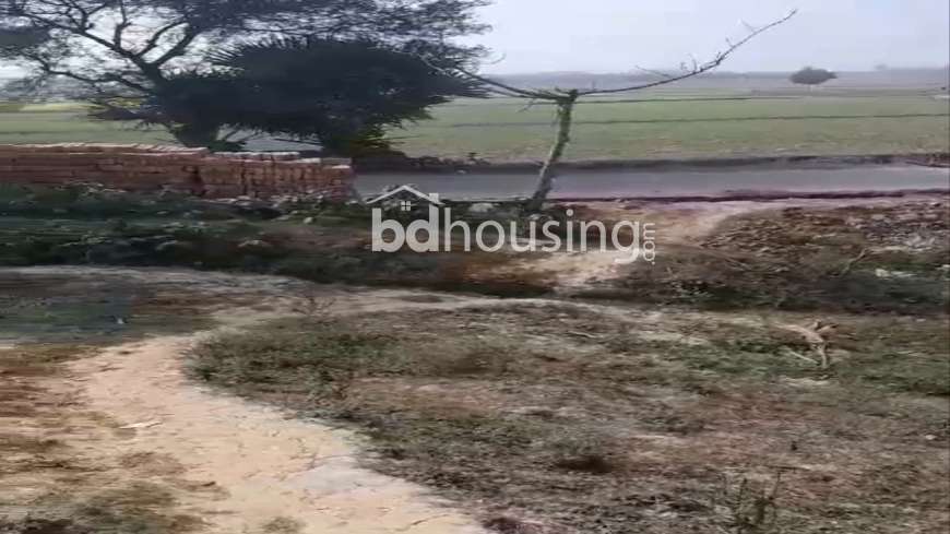 100 Bigha Farm Land and 24.5 Bugha Pond For Sell in Rajshahi Godagari, Agriculture/Farm Land at Sagor Para