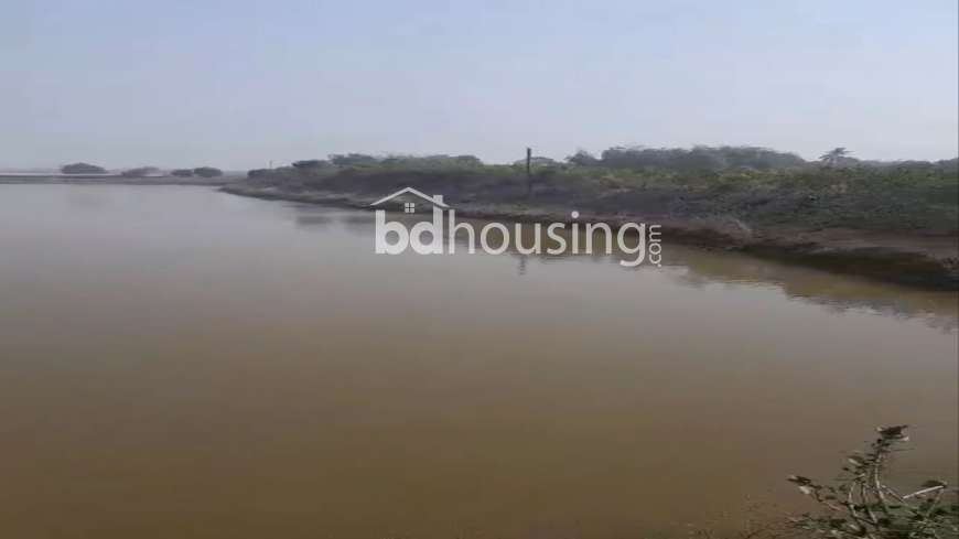 100 Bigha Farm Land and 24.5 Bugha Pond For Sell in Rajshahi Godagari, Agriculture/Farm Land at Sagor Para