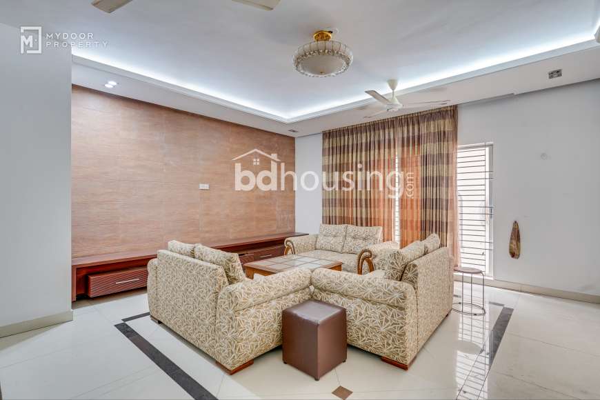 Full furnished, Apartment/Flats at Gulshan 02