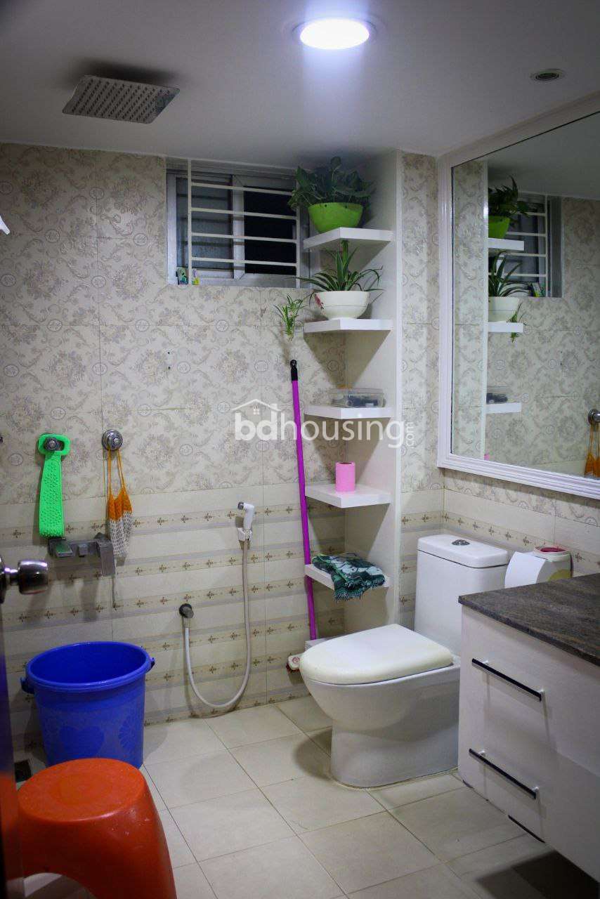 S.M Villa, Apartment/Flats at Mohammadpur