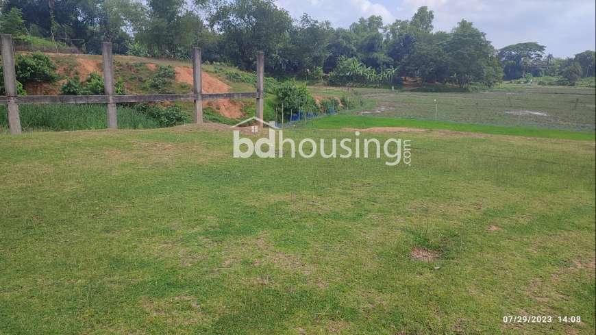 Bhaluka, Commercial Plot at sadar