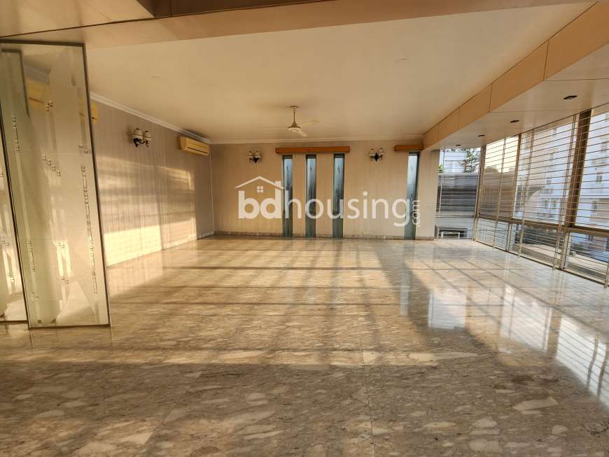 Penthouse Apartment. , Apartment/Flats at Baridhara