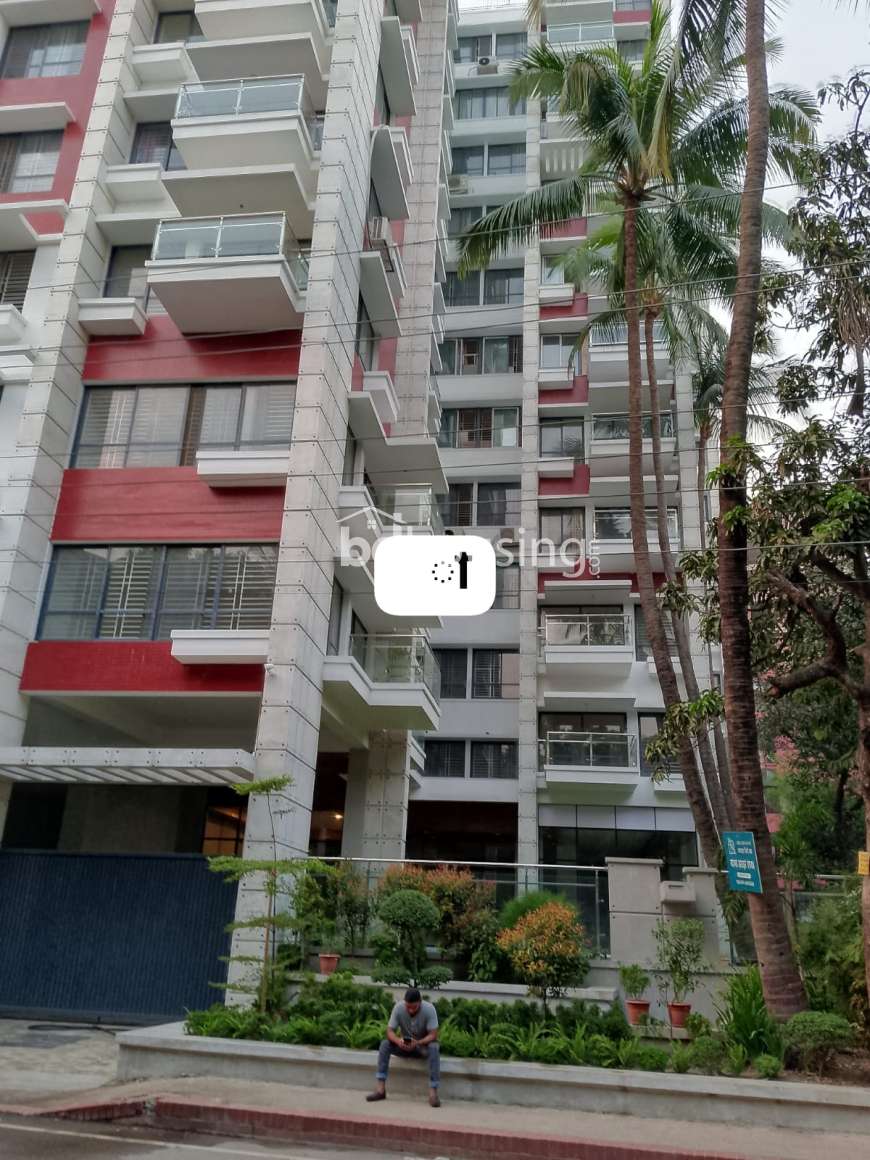 LUXURIOUS APARTMENT, Apartment/Flats at Dhanmondi