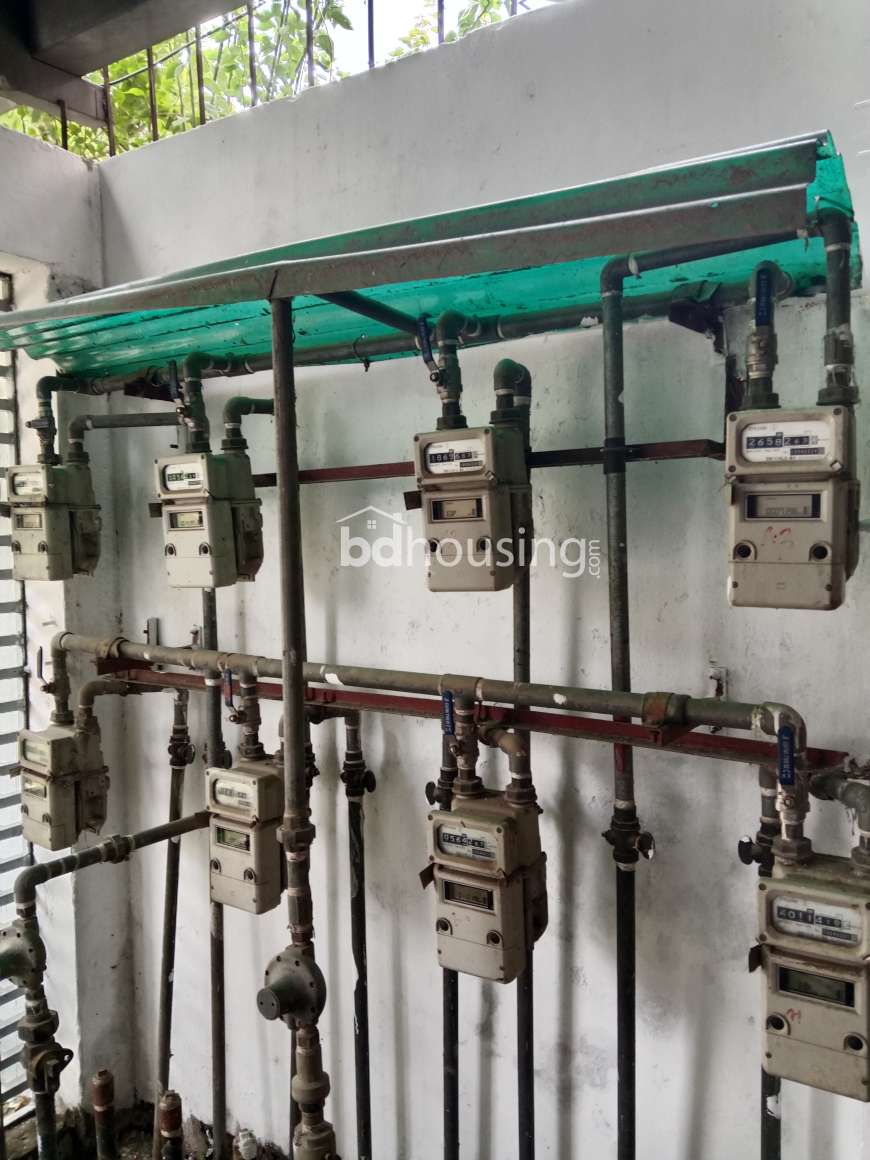 2200 sft South facing Apartment , Apartment/Flats at Bashundhara R/A