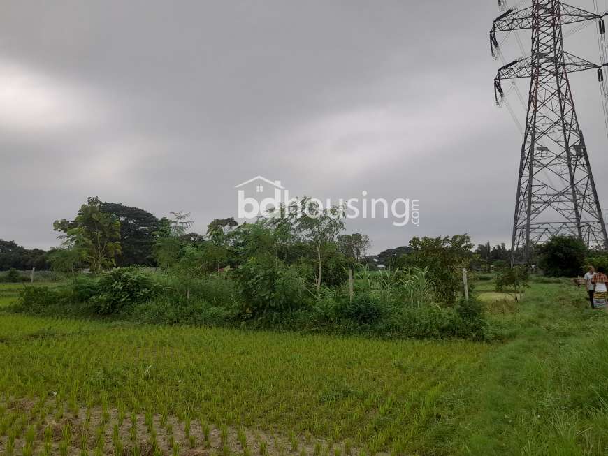 Touhid Ahmed, Residential Plot at Keraniganj