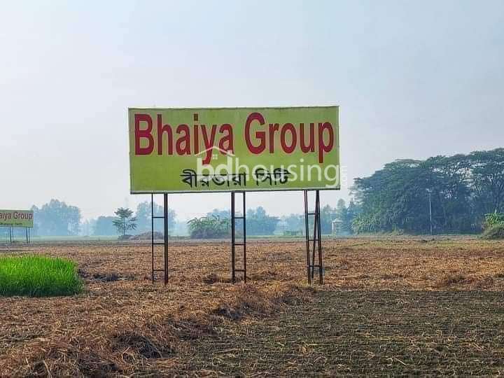 Pine city, Birtara City, Tulip Valley , Residential Plot at Purbachal