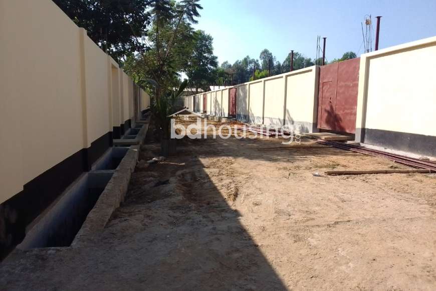 Ali nagor , Residential Plot at Bayazid