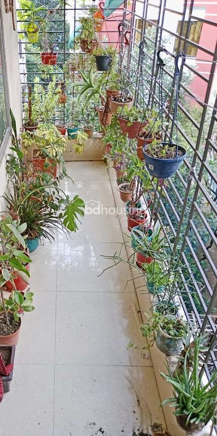 Mas Razia Apartments, Apartment/Flats at Shewrapara