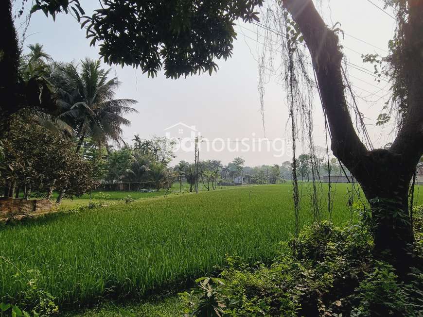57.75 Decimal industrial land , Residential Plot at Khan Jahan Ali