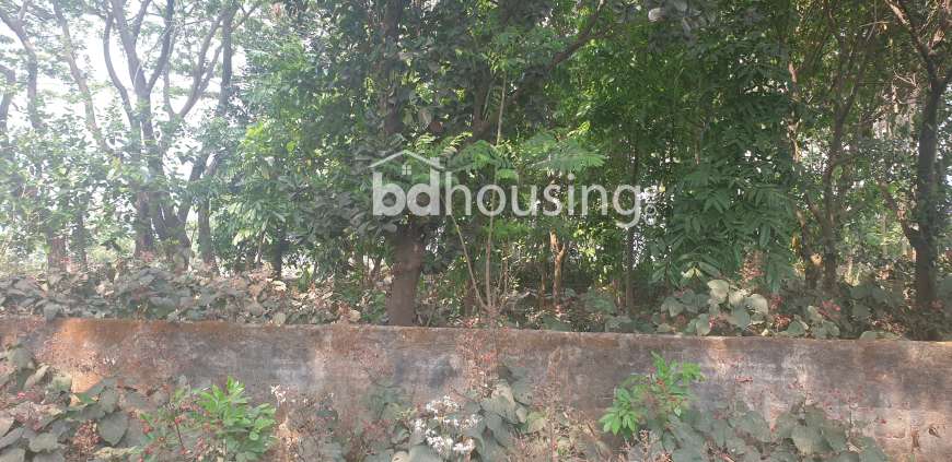 South Facing Ready Plot for URGENT Sale , Residential Plot at Ashulia
