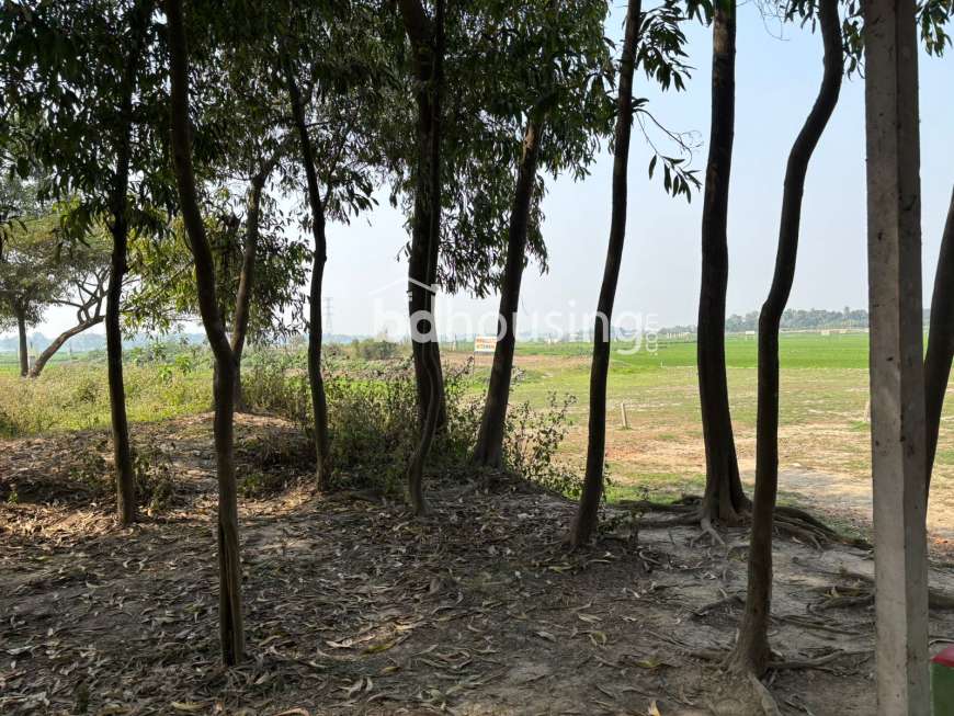 Banalata Rivergate Town , Residential Plot at Purbachal
