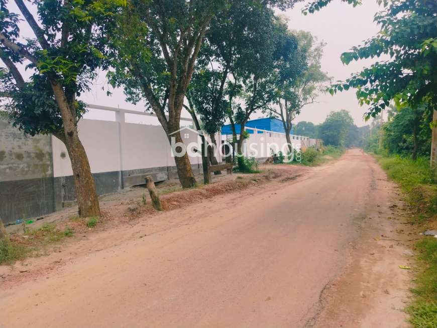 Tulip Valley, Residential Plot at Purbachal