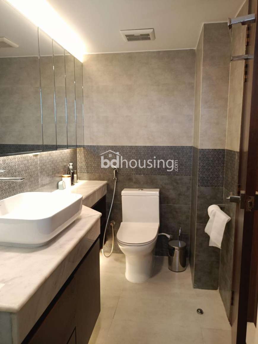 Oakvile Heights, Apartment/Flats at Bashundhara R/A