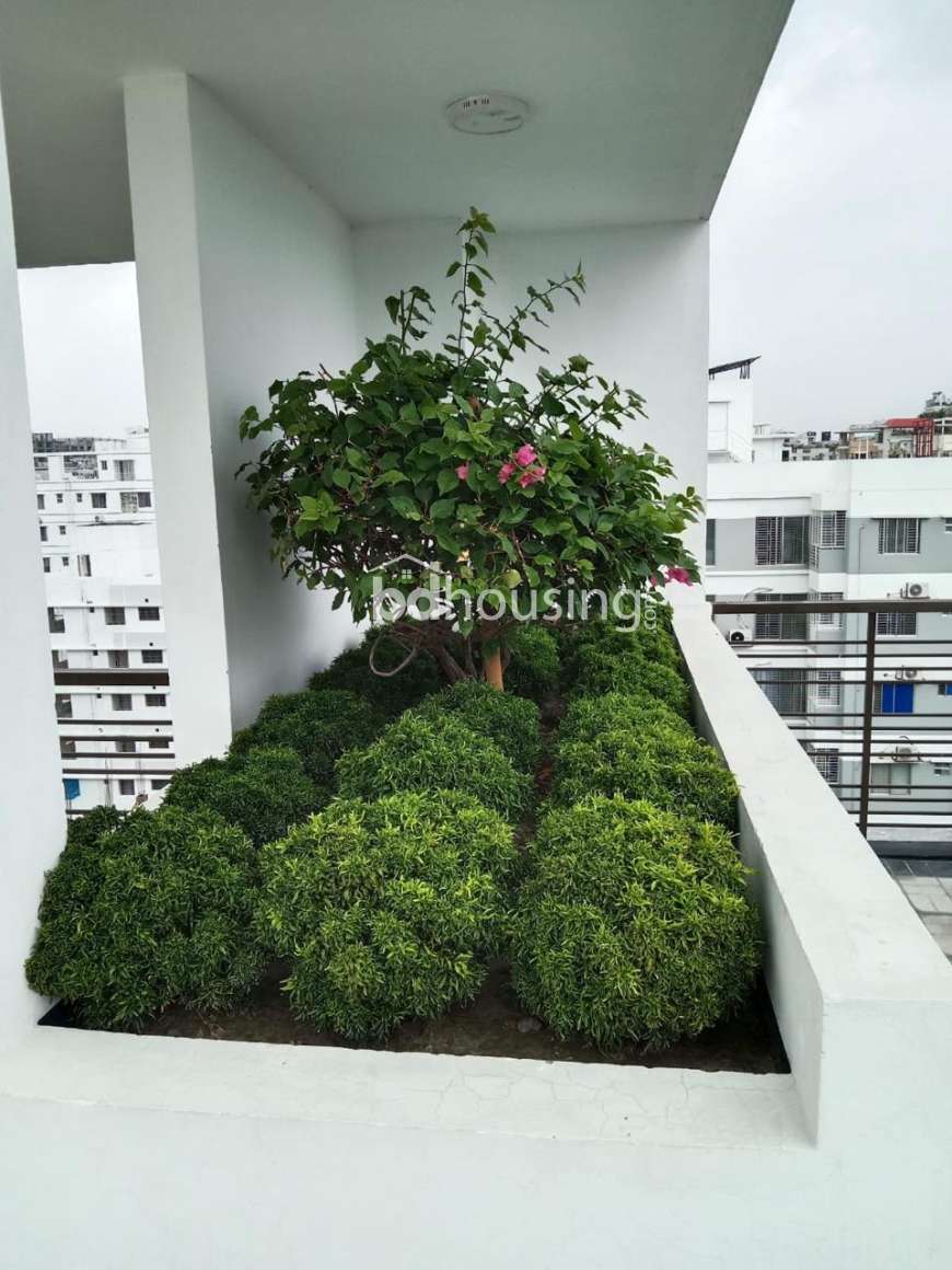Oakvile Heights, Apartment/Flats at Bashundhara R/A