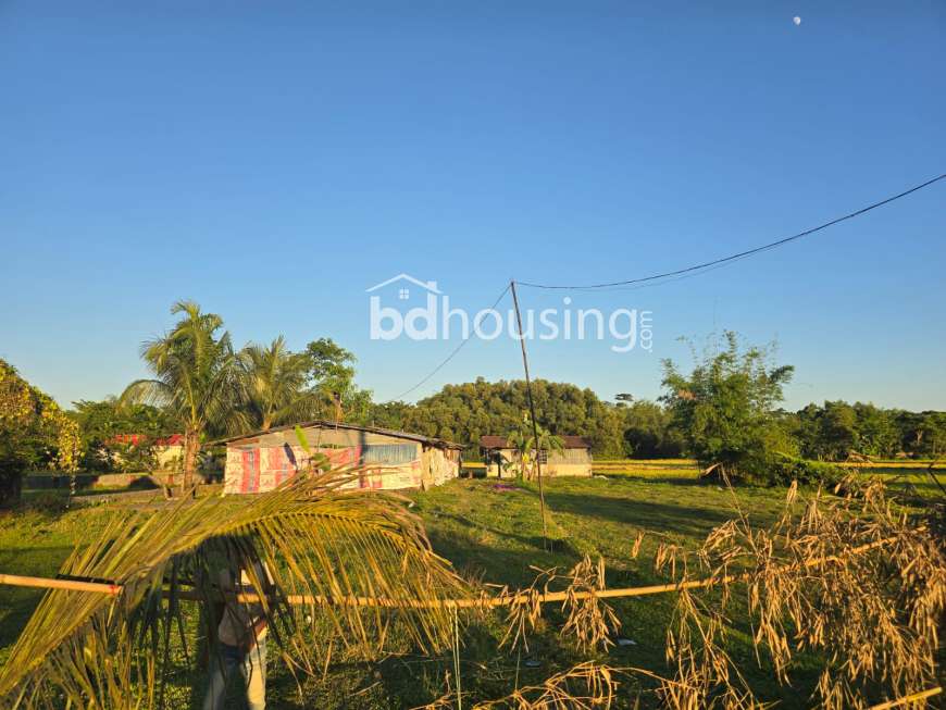 Commerical, Resort space, Storage development land and industrial purpose land for sale!, Commercial Plot at Bimanbondor