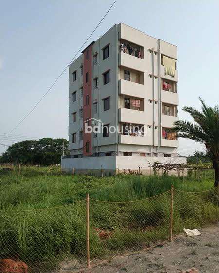 Will Share Later, Residential Plot at Bashundhara R/A