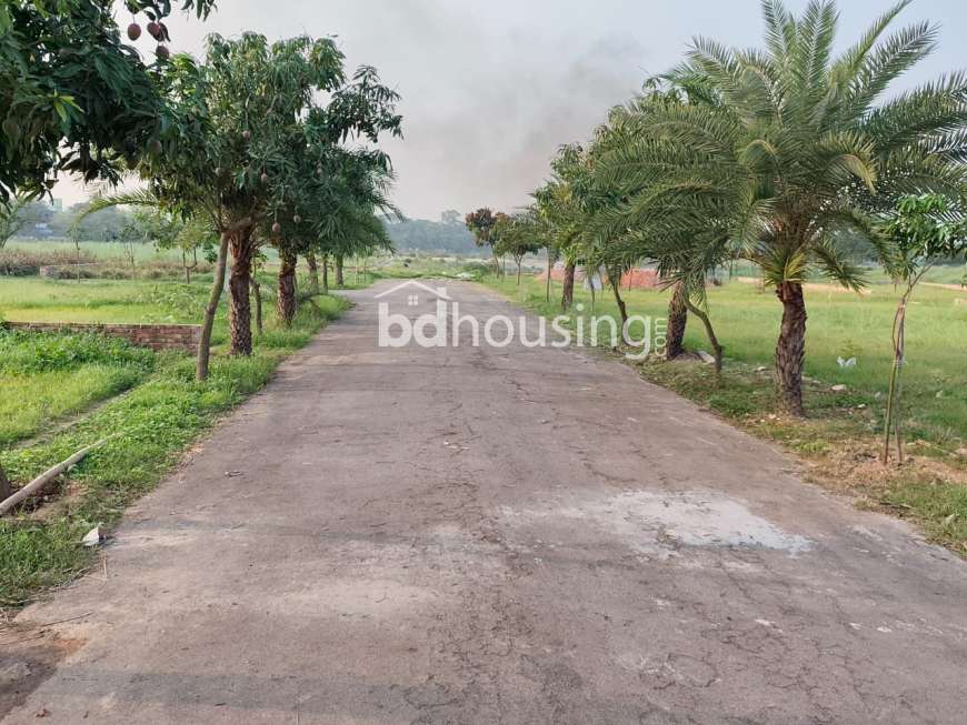 সহিদ নগর, রেসিডেন্সিয়াল প্লট, Residential Plot at Uttar Khan