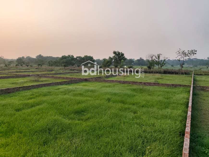 নিজের দেশের মাটি সোনার চেয়েও খাঁটি । সহিদ নগর, রেসিডেন্সিয়াল প্লট, Residential Plot at Uttar Khan