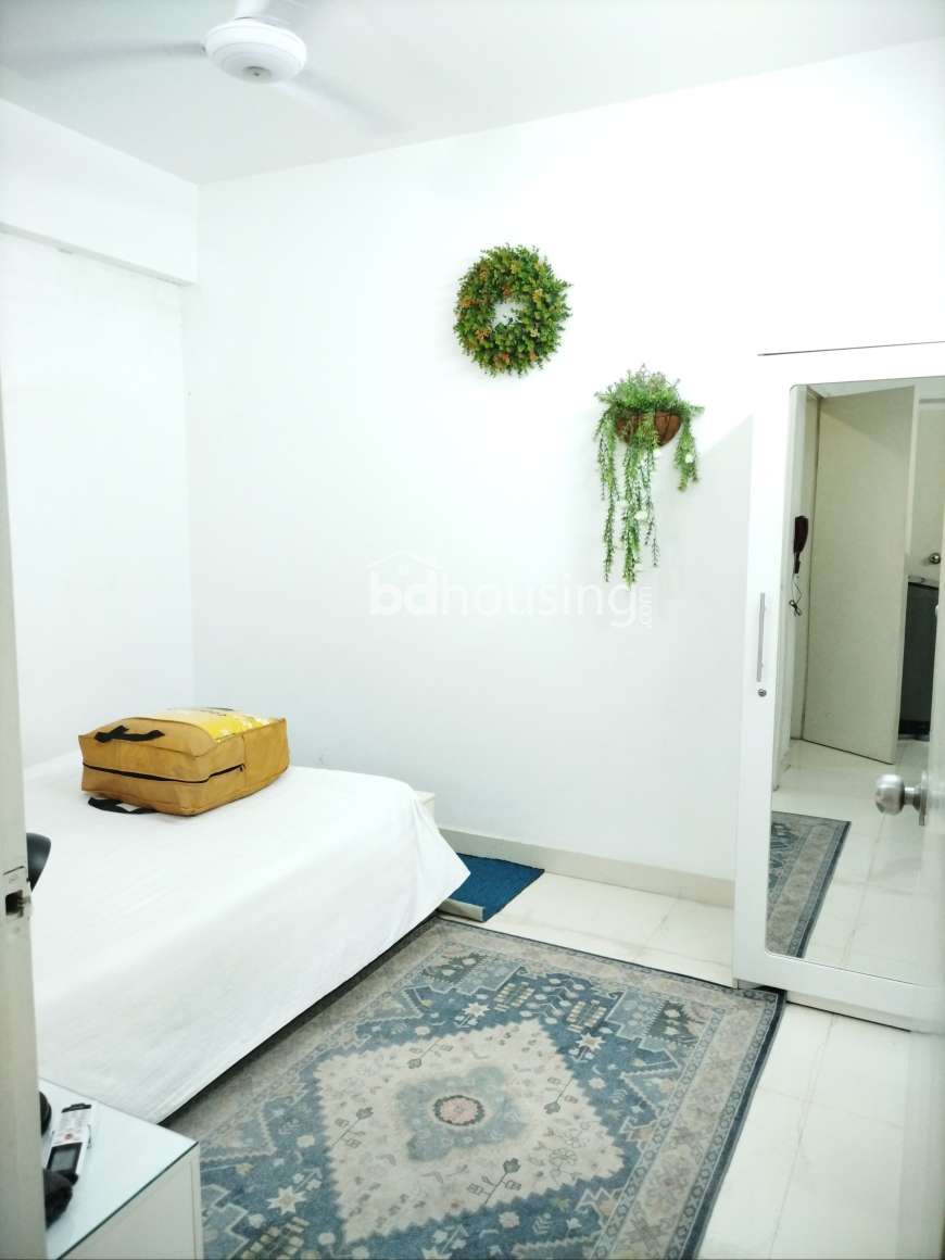 Modern 2 Bedroom Apartment Rent in Bashundhara R/A, Apartment/Flats at Bashundhara R/A