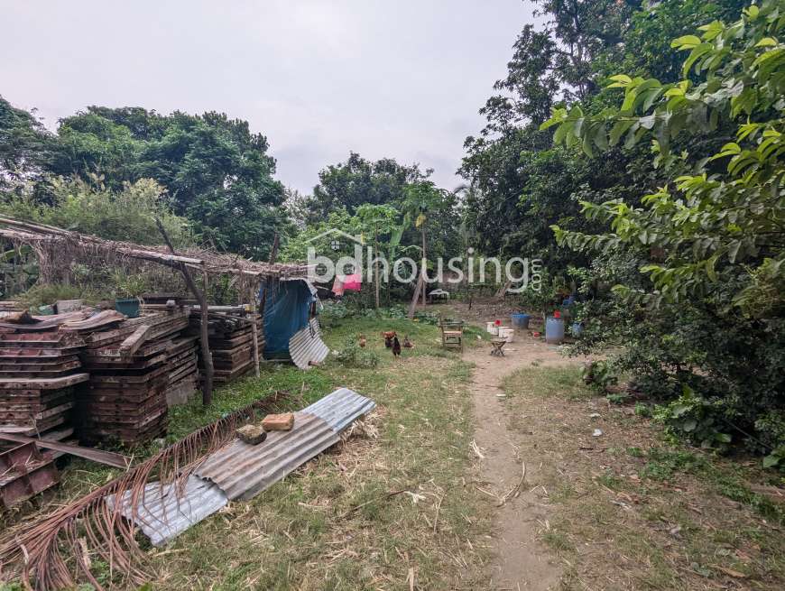 Commercial land, Commercial Plot at Tejgaon
