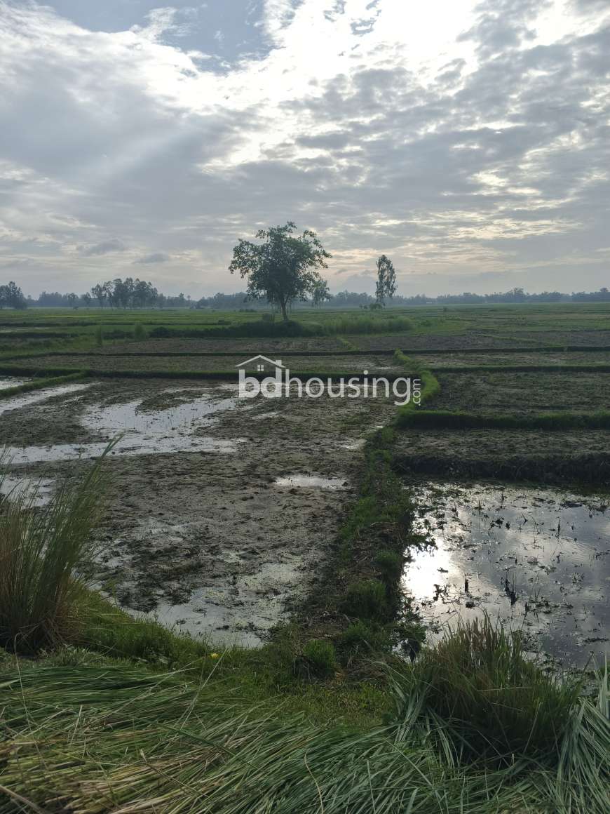 sadhin tradinf, Land Sharing Flat at Mahigonj