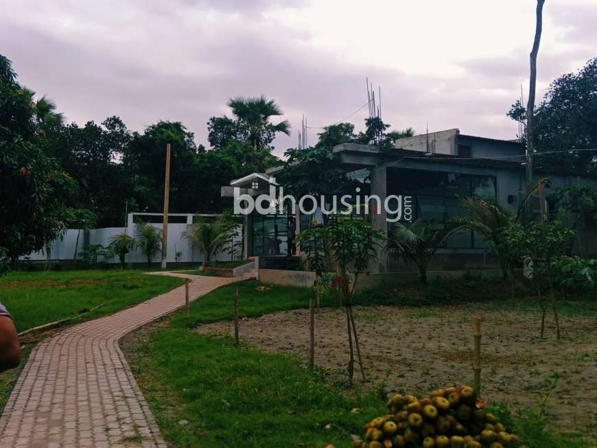 Pine City, Residential Plot at Purbachal