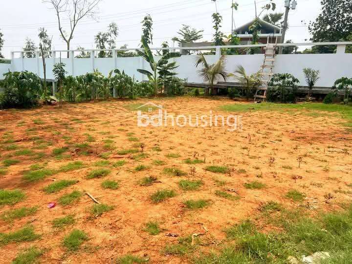 পাইন সিটি , Residential Plot at Purbachal