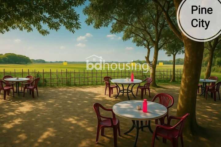 পাইন সিটি , Residential Plot at Purbachal