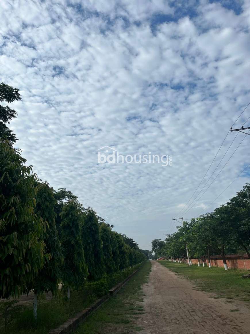 Navana Highland , Purbachal , Residential Plot at Purbachal