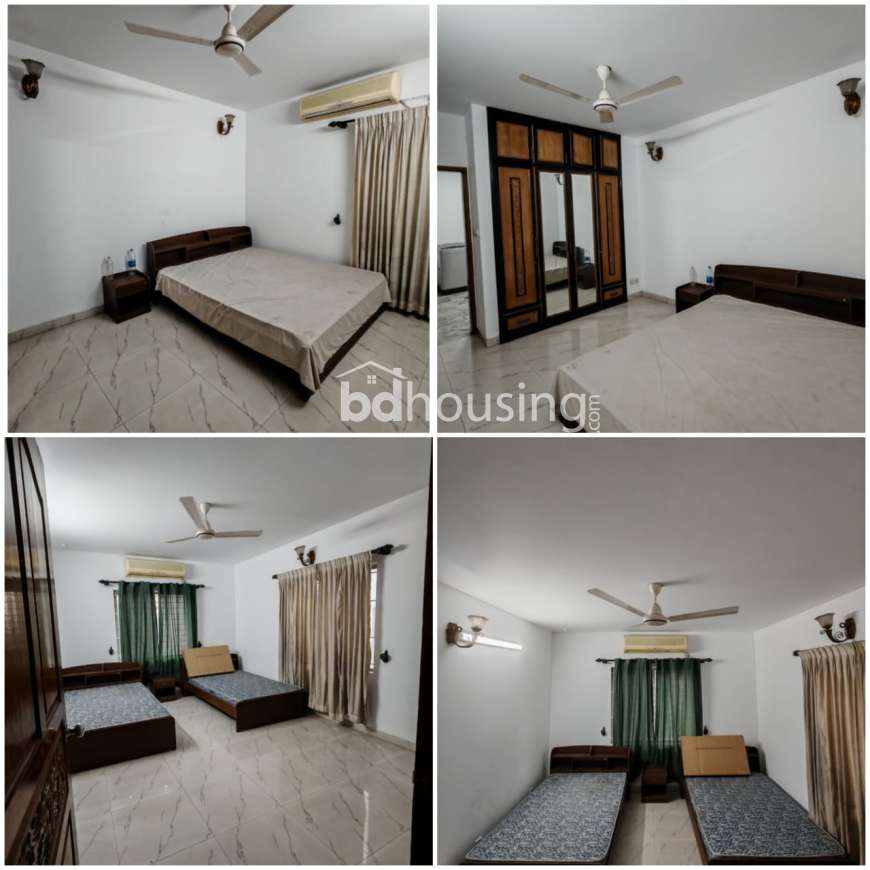 Baridhara UN Road 4 Bed Flat Rent!, Apartment/Flats at Baridhara