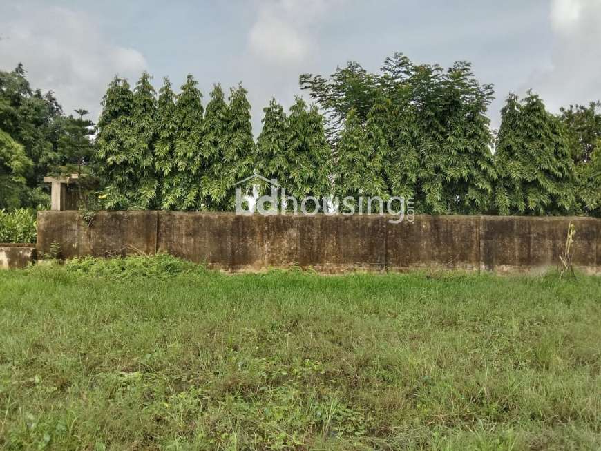 NA, Commercial Plot at test