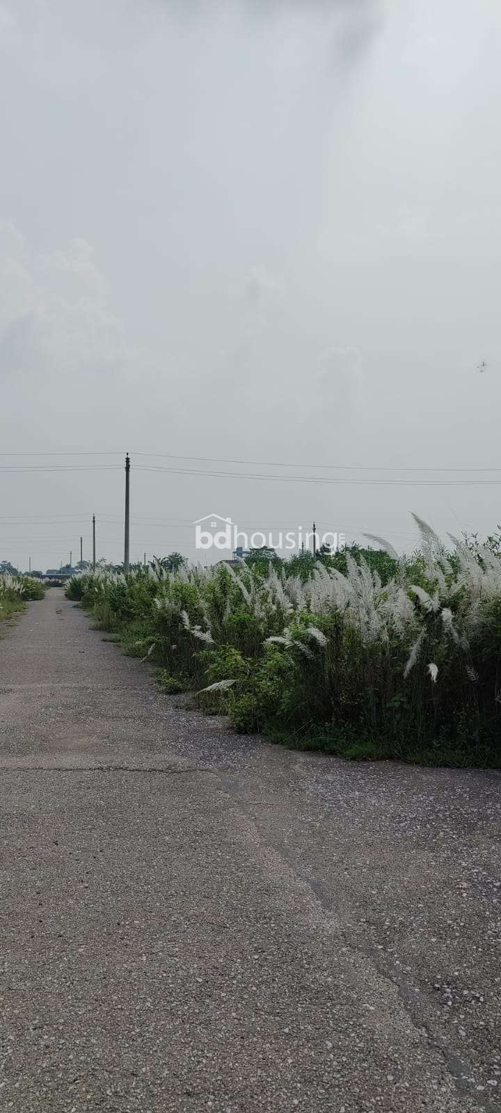 Corner Plot, Residential Plot at Purbachal