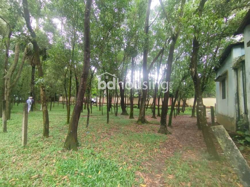 No name, Residential Plot at Gazipur Sadar