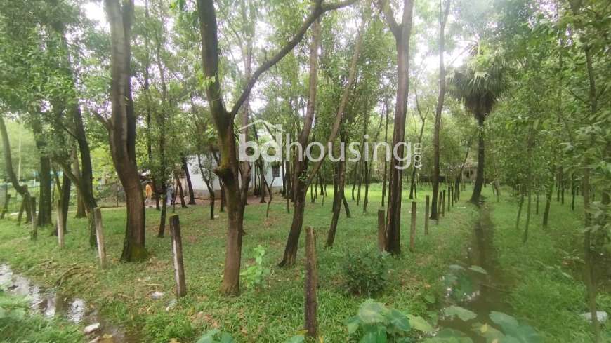 No name, Residential Plot at Gazipur Sadar
