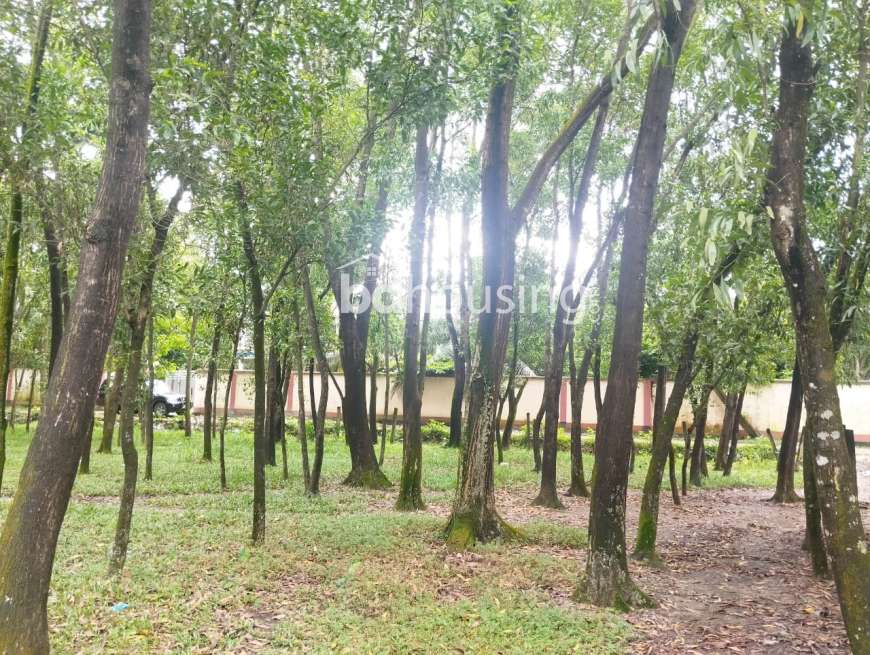 No name, Residential Plot at Gazipur Sadar