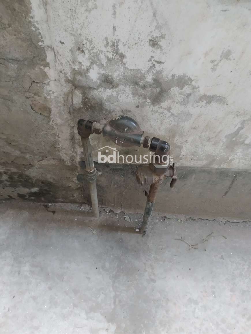 Rehana, Independent House at Jatrabari