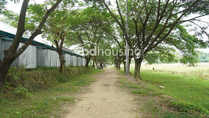 Chayakunjo, Residential Plot at Tongi