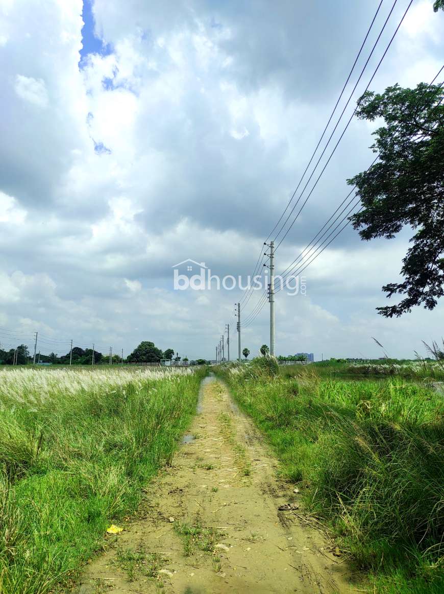 Chayakunjo, Residential Plot at Tongi